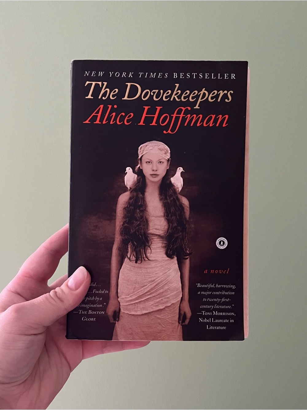 📚 4/25$ 📚 The Dovekeepers by Alice Hoffman
